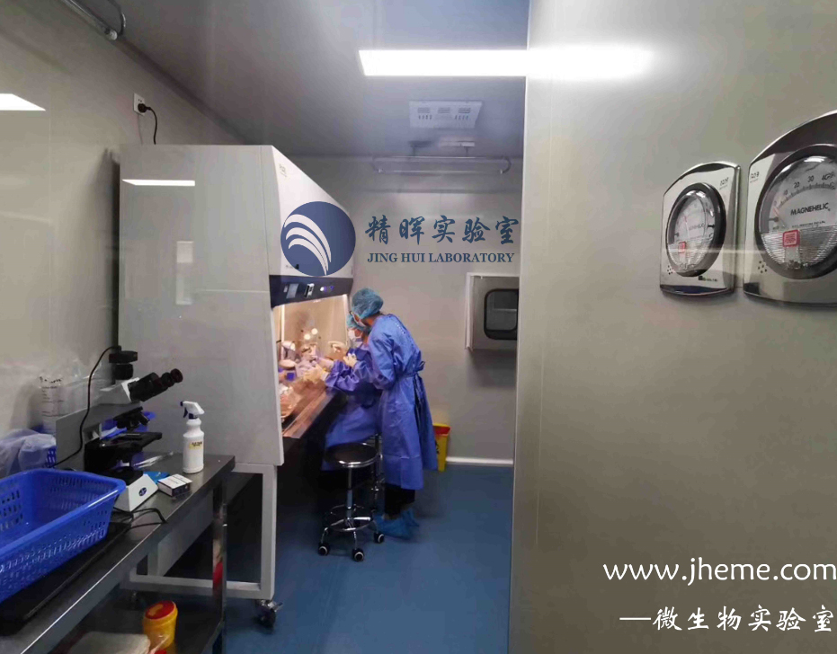 潔凈/微生物/無菌實(shí)驗(yàn)室